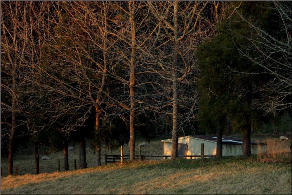 little shack on the hill