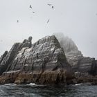 Little Skellig