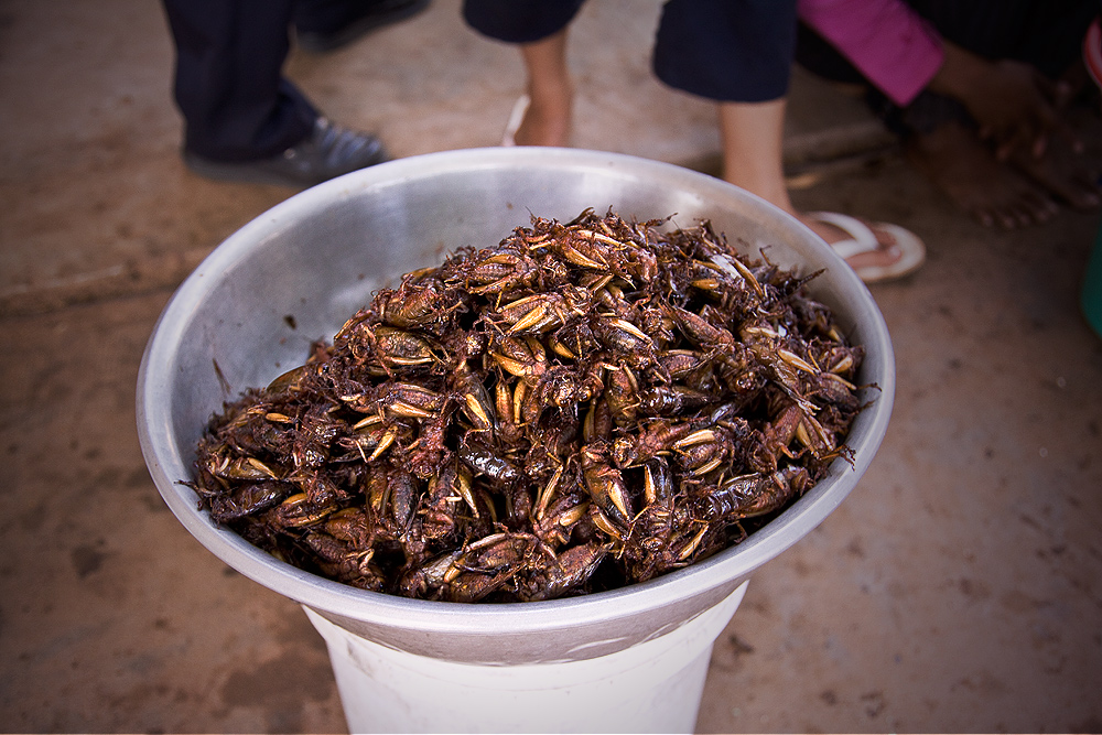 Little Snack - one Dollar ?