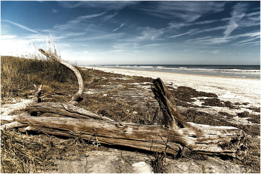 Little Talbot Island State Park - Florida USA