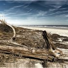 Little Talbot Island State Park - Florida USA