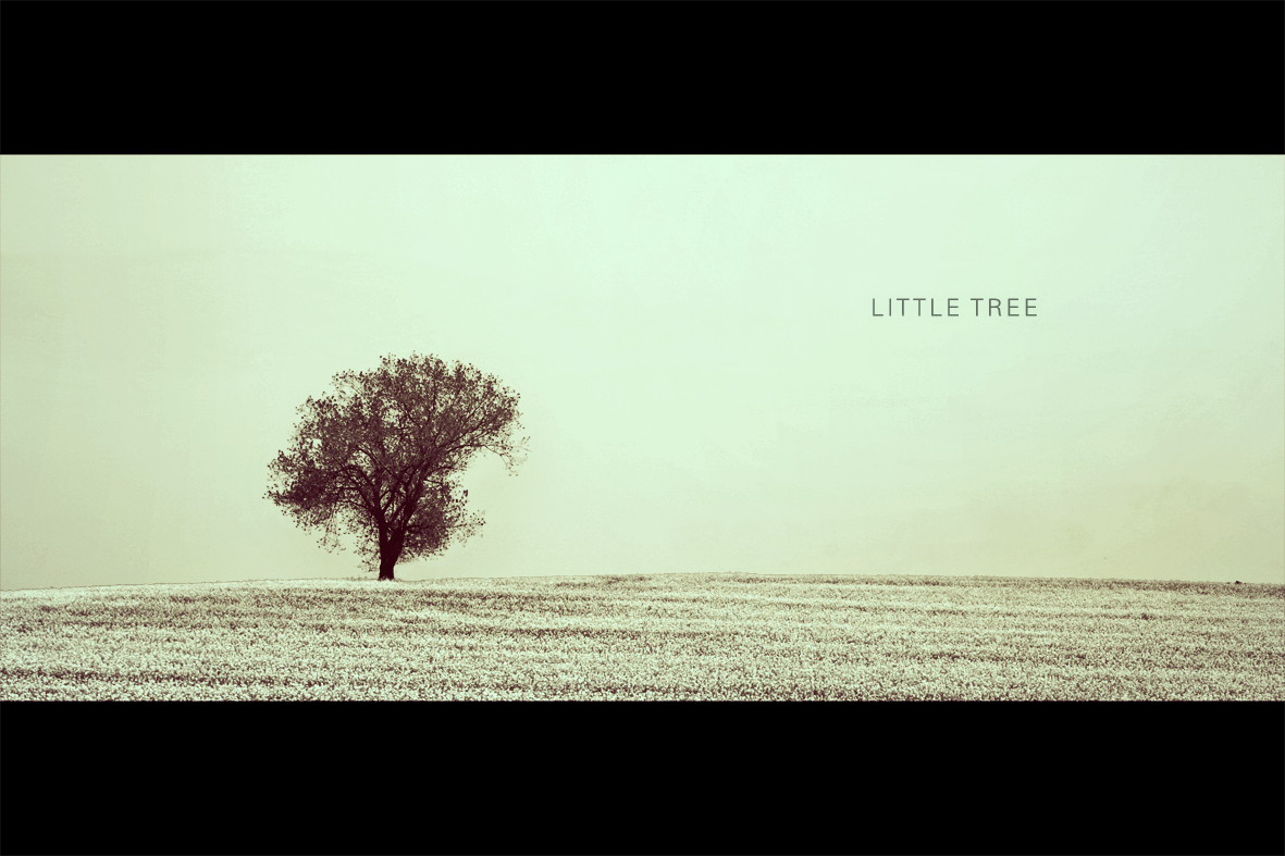 little tree