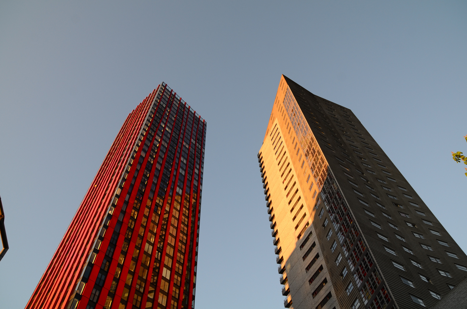 Little Twins In Rotterdam