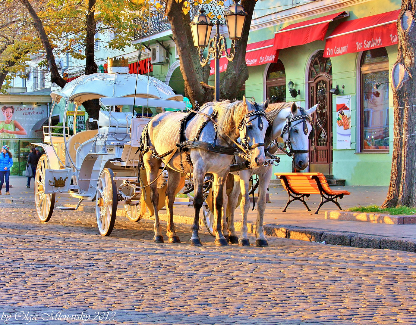 Little Vienna in Ukraine