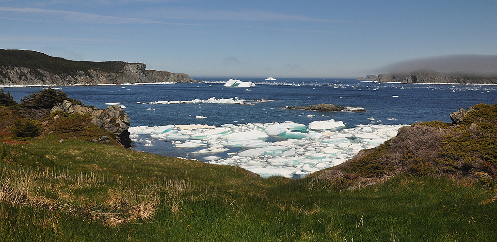 Little Wild Cove, Twillingate