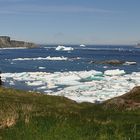 Little Wild Cove, Twillingate