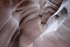 Little Wild Horse Canyon #1