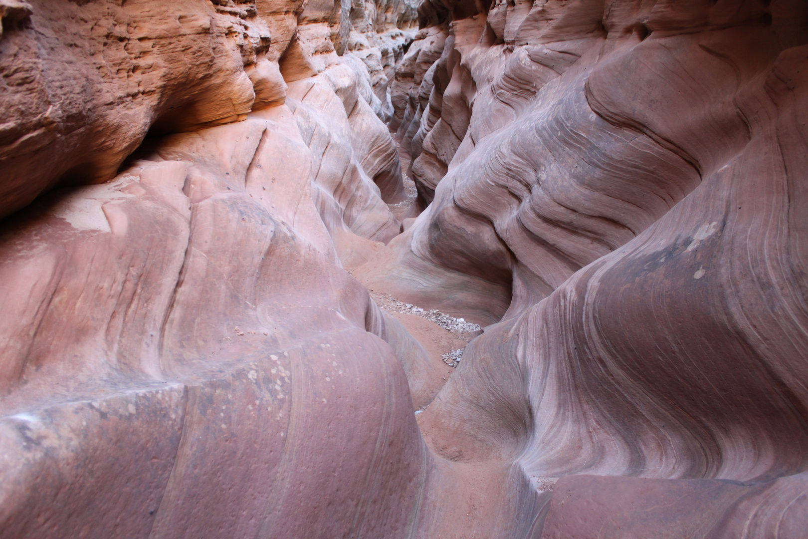 Little Wild Horse Canyon #2