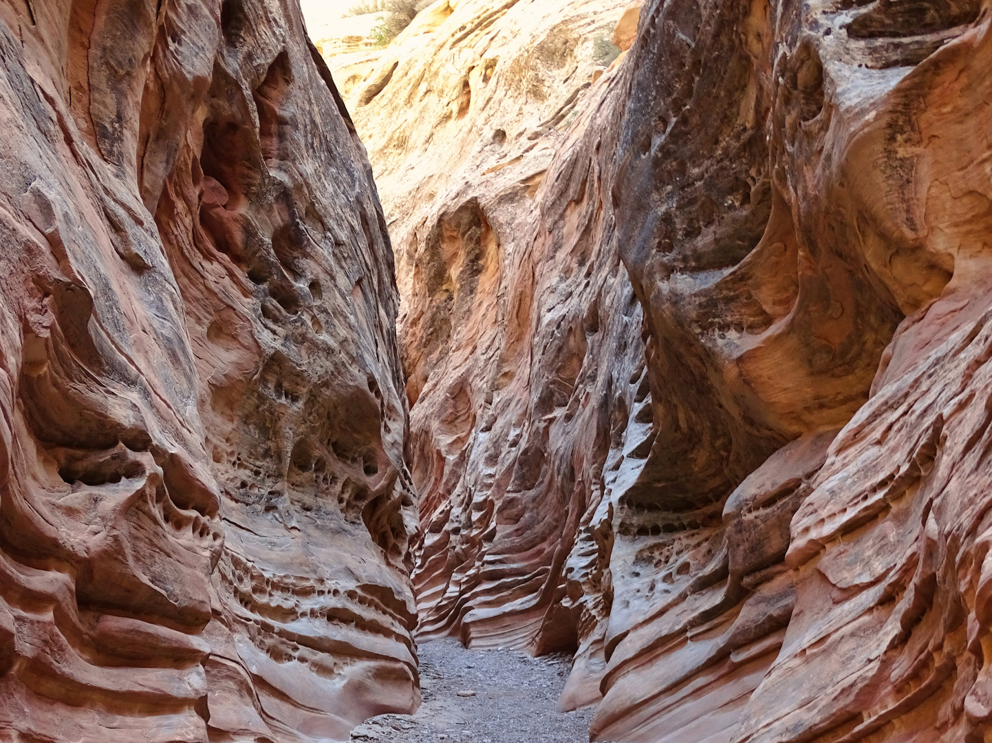 Little Wild Horse Canyon