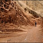 *little wild horse canyon*