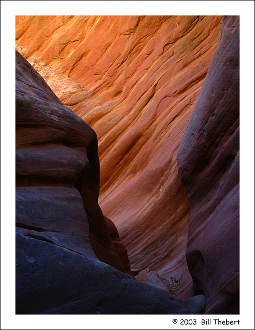 Little Wild Horse Canyon