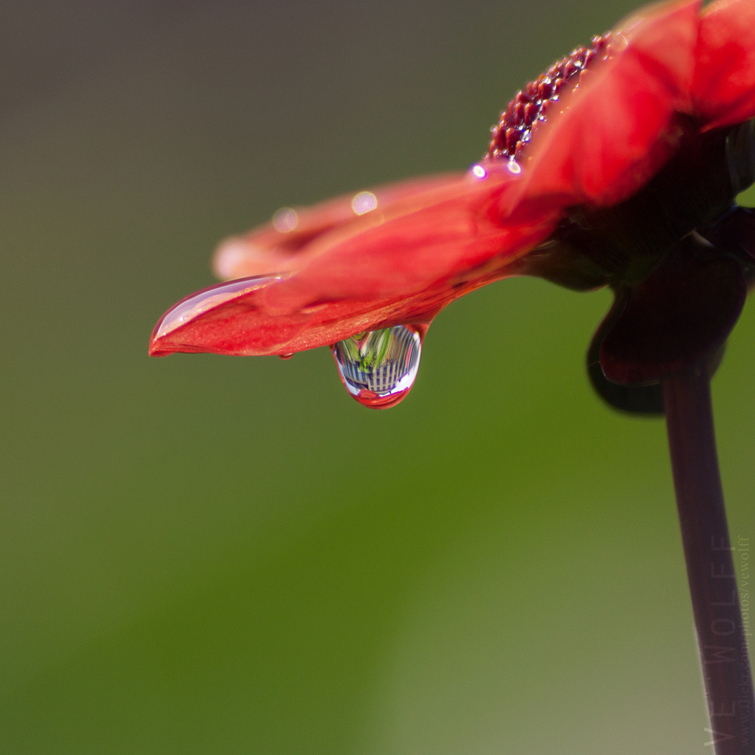 little world upside down