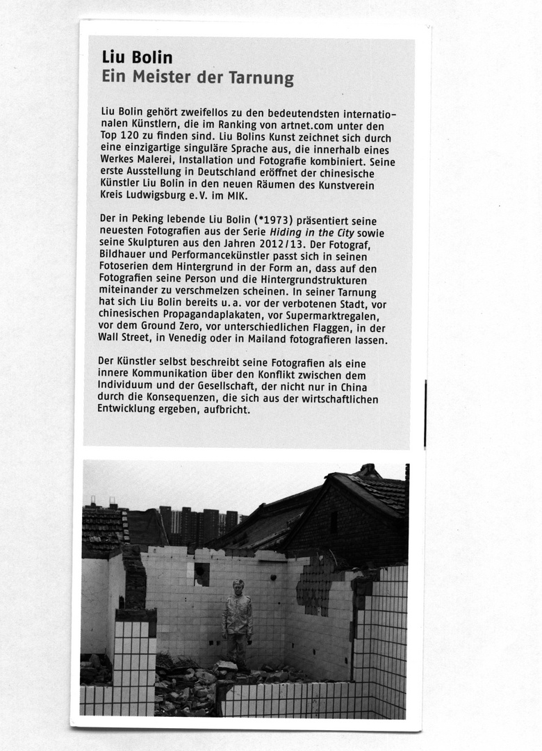 Liu Bolin Flyer