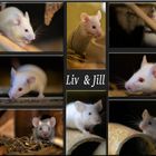 Liv & Jill