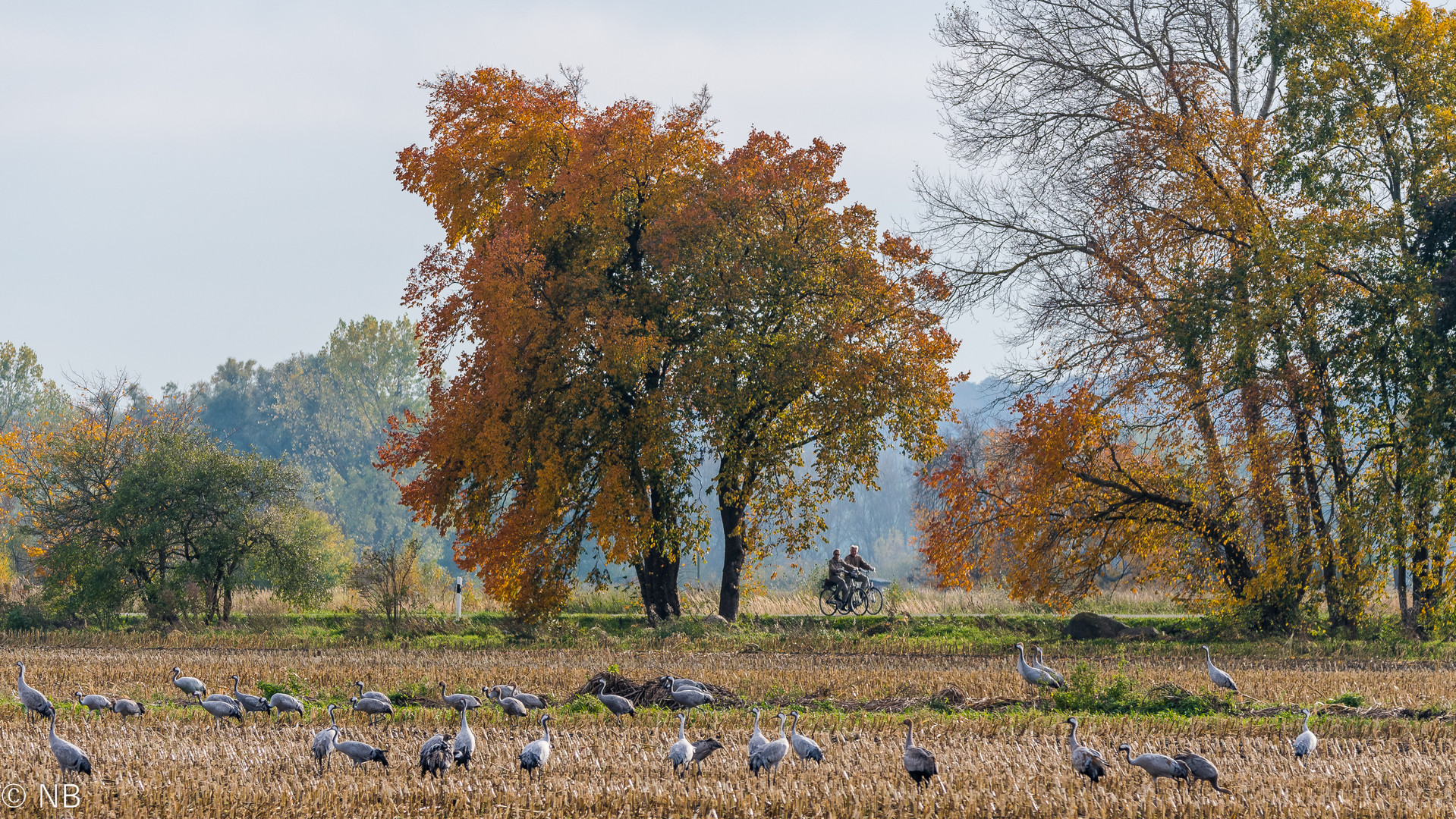 "Live-Erlebnis Natur 2021"