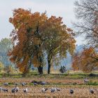 "Live-Erlebnis Natur 2021"