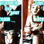 ...live your Dream (3D)
