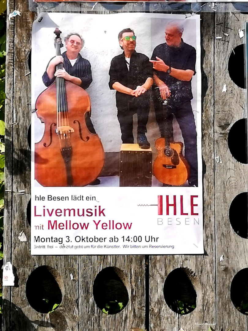 Livemusik der Pop-Rock-Band Melloew Yellow