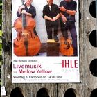 Livemusik der Pop-Rock-Band Melloew Yellow