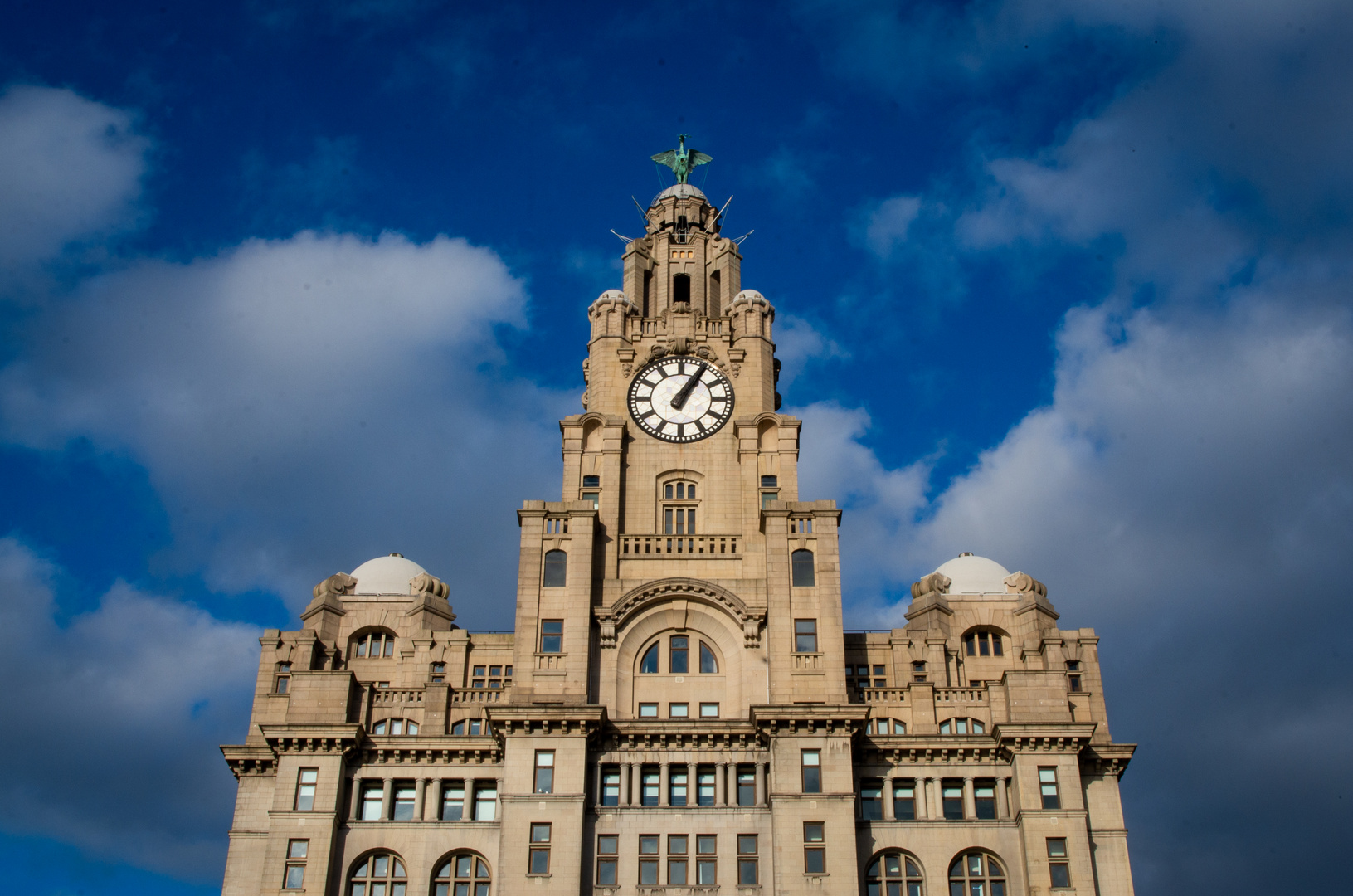 Liver Building 