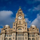 Liver Building 