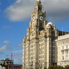 Liver Building