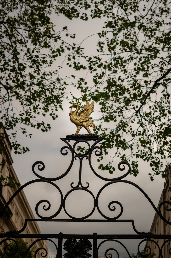 Liverbird at the Bluecoat