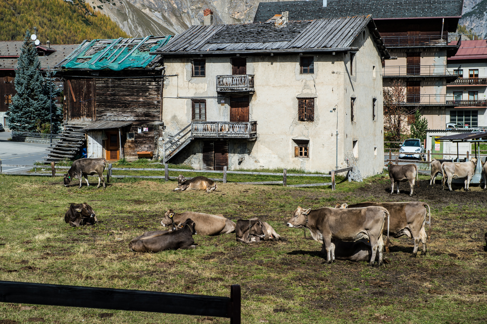 Livigno, Italien                                 DSC_3198