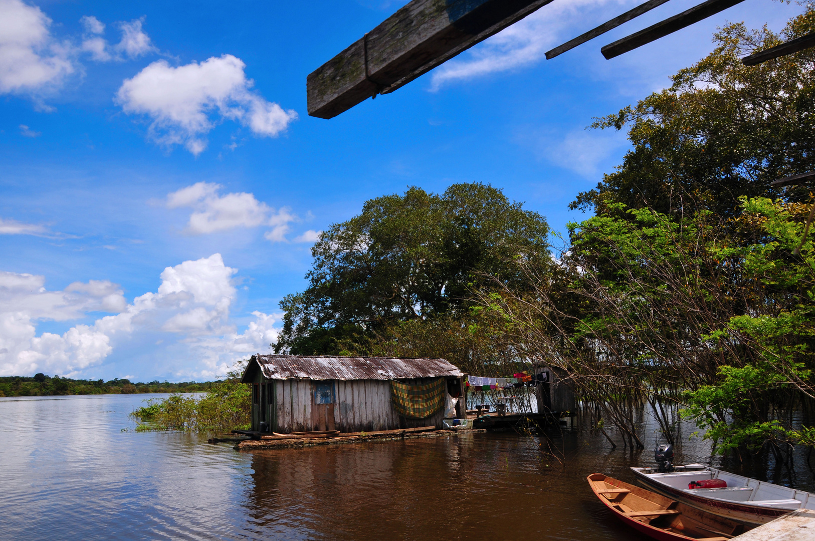 Living at the Amazon