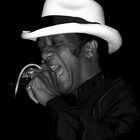 living blues legend