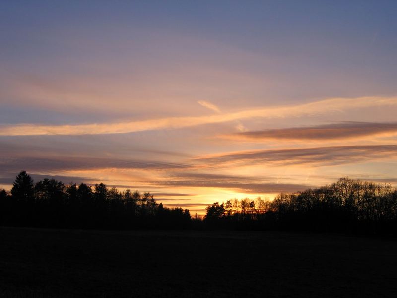 Living Clouds