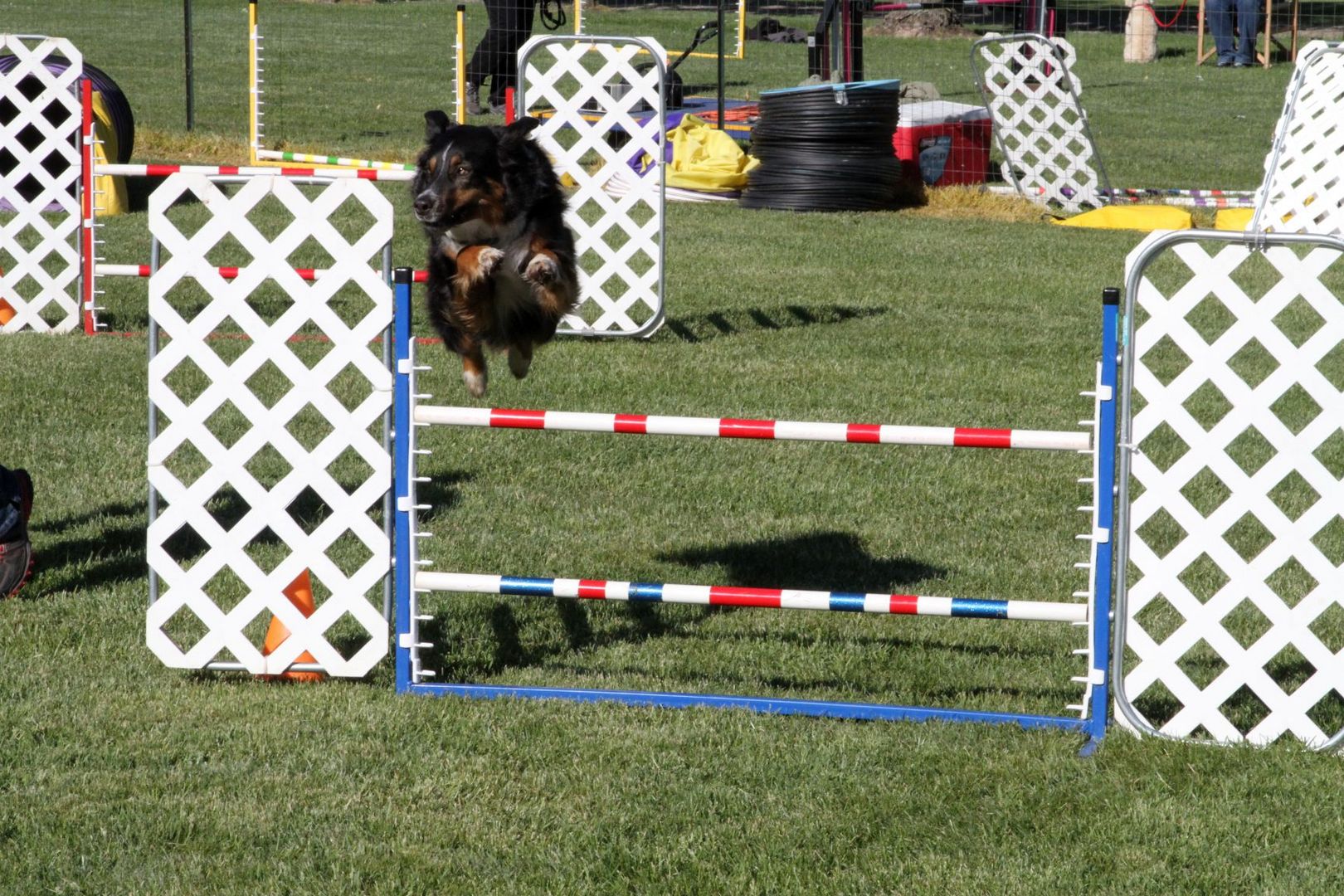 Living for Agility