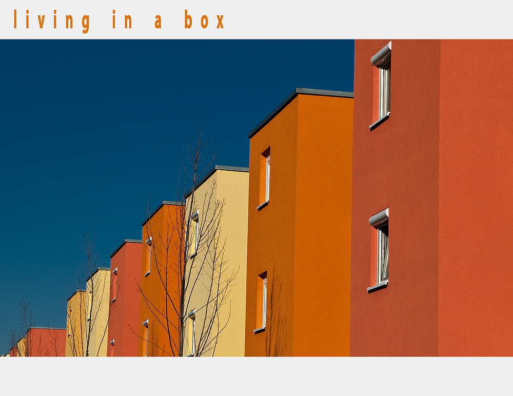 living in a box II