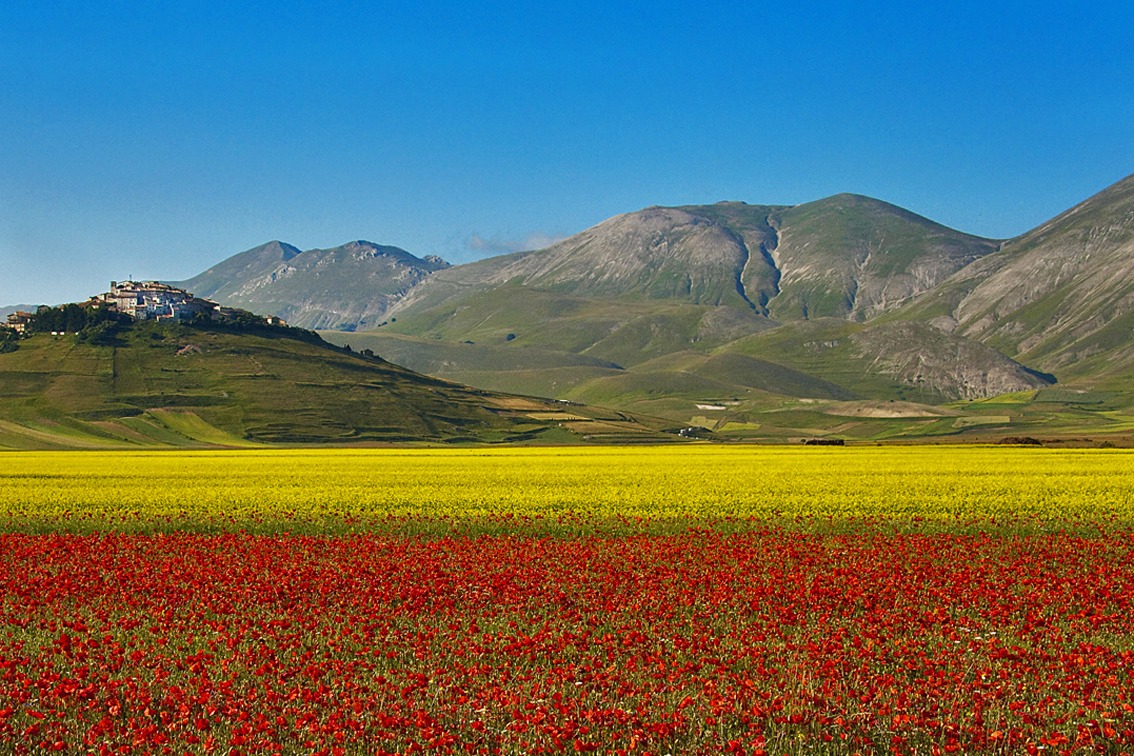 Living in another world....