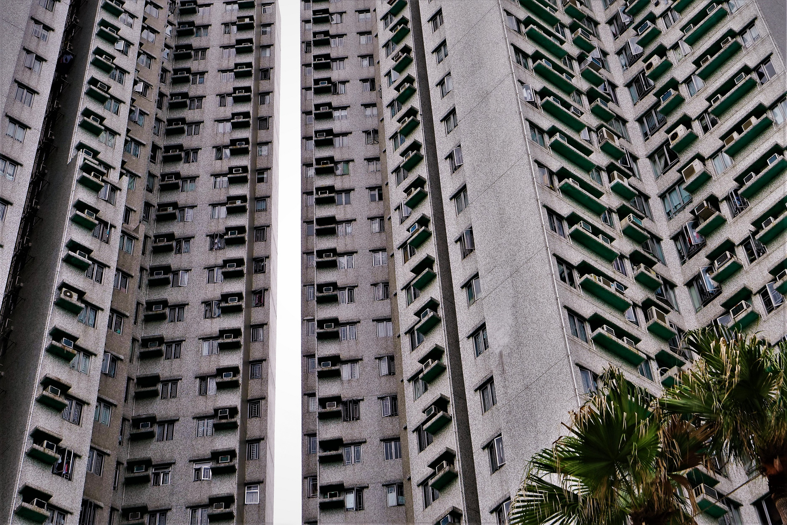 Living in Hong Kong