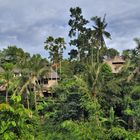 Living in resorts nearby Ubud