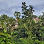 Living in resorts nearby Ubud