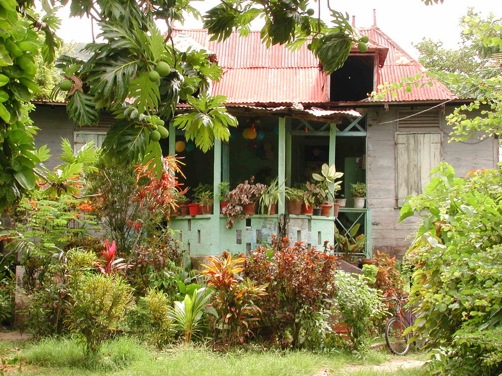 Living in the green (La Digue)