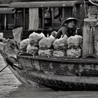 Living on the Mekong River 5