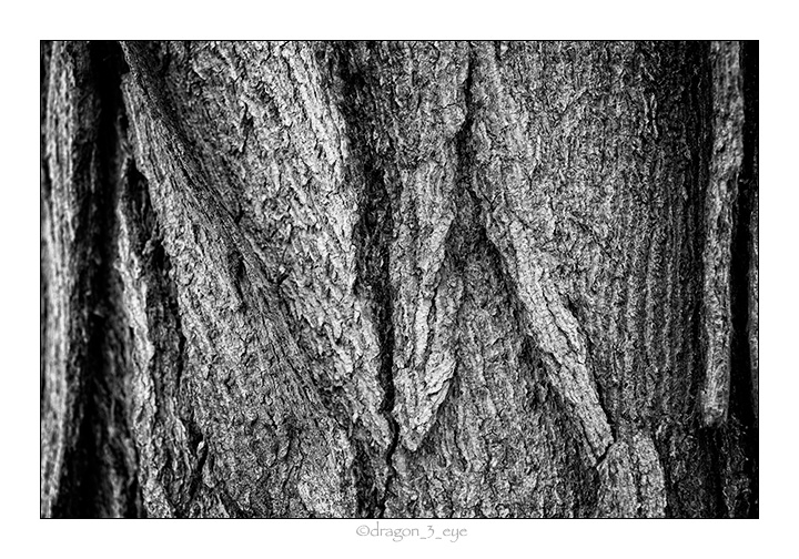 Living Texture One 