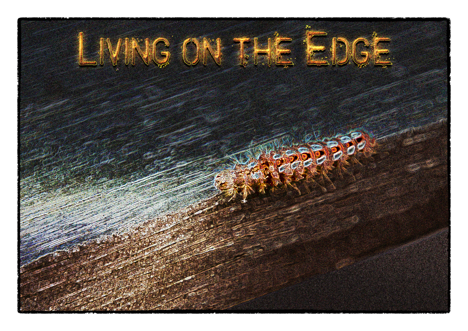 LIVINGONTHEEDGE