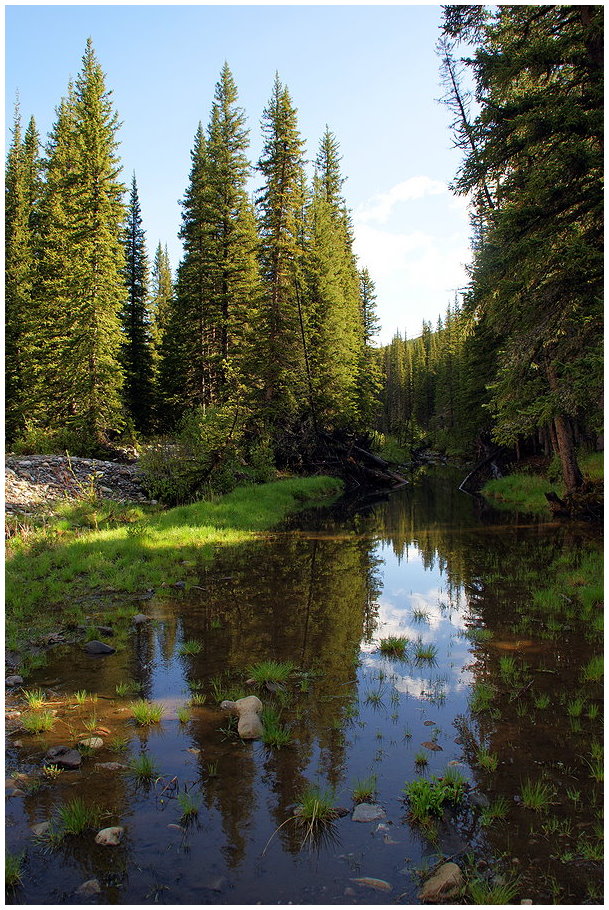 Livingstone Falls Recreation Area # 2