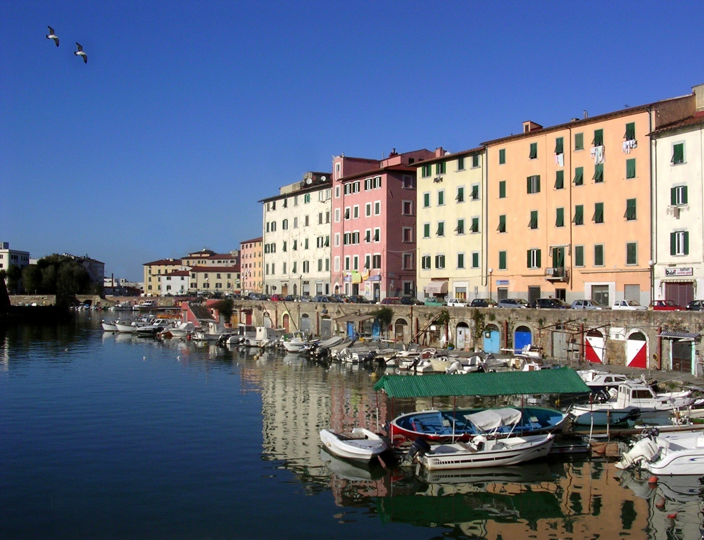 Livorno (2008)