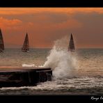 Livorno al Tramonto