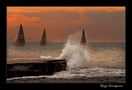 IT: Livorno al Tramonto von Renzo Carmignani 