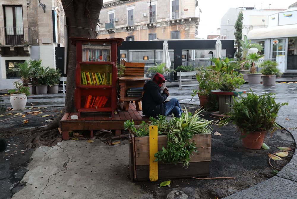 Livraria - unter einem Baum -