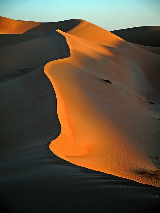 Liwa, Abu Dhabi, UAE