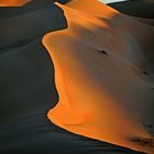 Liwa, Abu Dhabi, UAE