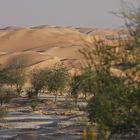 Liwa Oase - Rub Al Khali