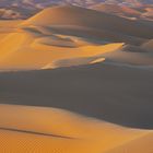 Liwa Wüste 11